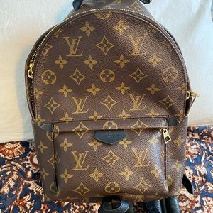 Louis Vuitton Palm Springs PM Backpack